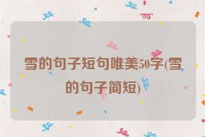 雪的句子短句唯美50字(雪的句子简短)