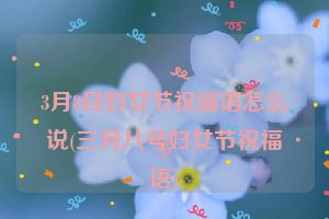 3月8日妇女节祝福语怎么说(三月八号妇女节祝福语)