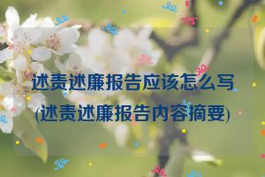 述责述廉报告应该怎么写(述责述廉报告内容摘要)