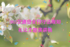 2023交通安全日守法规知礼让主题演讲稿