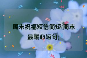 周末祝福短信简短(周末最暖心短句)