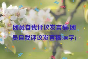 团员自我评议发言稿(团员自我评议发言稿800字)