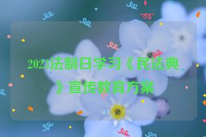2023法制日学习《民法典》宣传教育方案
