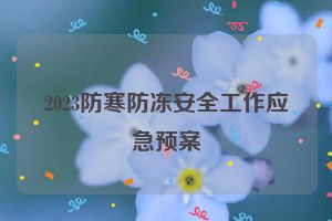 2023防寒防冻安全工作应急预案