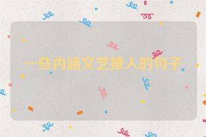 一些内涵文艺撩人的句子