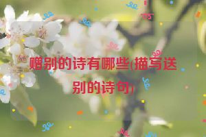 赠别的诗有哪些(描写送别的诗句)
