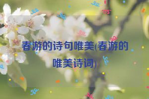春游的诗句唯美(春游的唯美诗词)