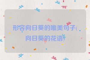 形容向日葵的唯美句子(向日葵的花语)