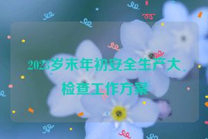 2023岁末年初安全生产大检查工作方案