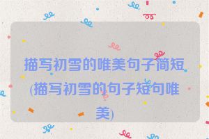 描写初雪的唯美句子简短(描写初雪的句子短句唯美)