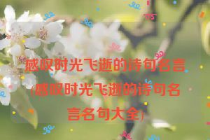 感叹时光飞逝的诗句名言(感叹时光飞逝的诗句名言名句大全)