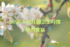 2023关于幼儿园卫生习惯学习教案