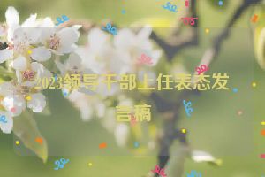 2023领导干部上任表态发言稿