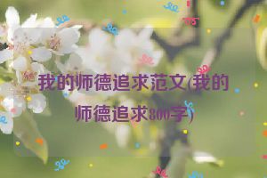 我的师德追求范文(我的师德追求800字)