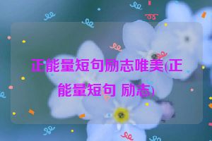正能量短句励志唯美(正能量短句 励志)