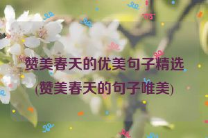 赞美春天的优美句子精选(赞美春天的句子唯美)