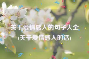 关于爱情感人的句子大全(关于爱情感人的话)