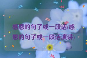 感恩的句子或一段话(感恩的句子或一段话演讲)