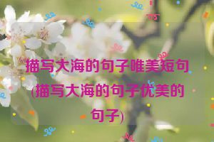 描写大海的句子唯美短句(描写大海的句子优美的句子)