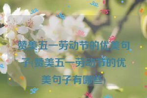 赞美五一劳动节的优美句子(赞美五一劳动节的优美句子有哪些)