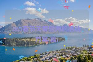 2023春节关爱慰问的活动方案(篇)