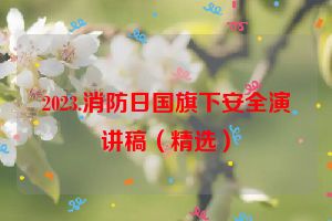 2023.消防日国旗下安全演讲稿（精选）