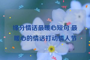 缘分情话最暖心短句 最暖心的情话打动情人节