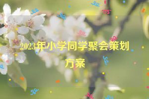 2023年小学同学聚会策划方案