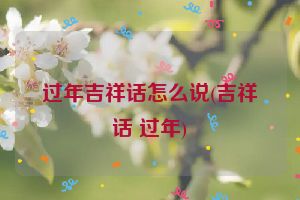 过年吉祥话怎么说(吉祥话 过年)