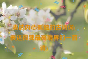 表达内心孤独的古诗词(表达孤独最高境界的一首诗)