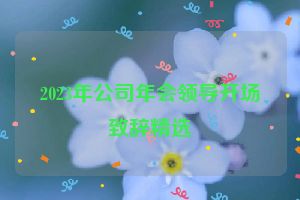 2023年公司年会领导开场致辞精选