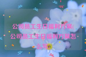 公司员工生日福利方案(公司员工生日福利方案怎么写)