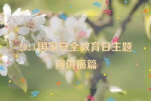 2023.国家安全教育日主题演讲稿篇