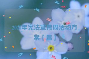 2023年宪法宣传周活动方案【篇】