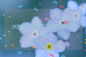 2023年商店年货节的活动方案