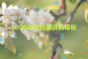 2023班委竞选演讲稿模板