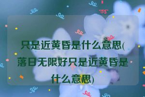 只是近黄昏是什么意思(落日无限好只是近黄昏是什么意思)