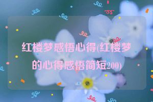 红楼梦感悟心得(红楼梦的心得感悟简短200)