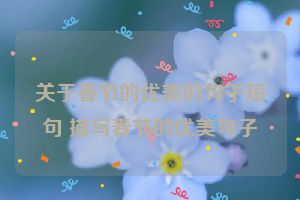 关于春节的优美的句子短句 描写春节的优美句子