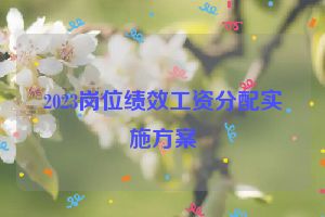 2023岗位绩效工资分配实施方案