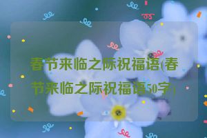 春节来临之际祝福语(春节来临之际祝福语50字)