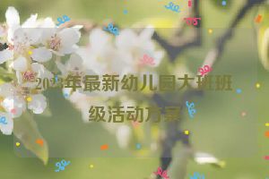 2023年最新幼儿园大班班级活动方案
