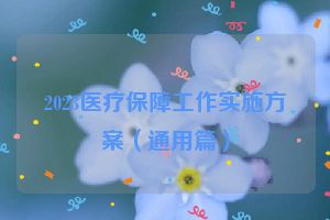 2023医疗保障工作实施方案（通用篇）