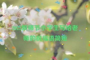 2022教师节小学生写给老师的祝福语简短
