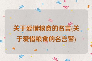 关于爱惜粮食的名言(关于爱惜粮食的名言警)