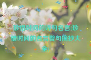 珍惜时间的诗句名言(珍惜时间的名言警句摘抄大全)