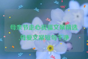 母亲节走心祝福文案精选,母爱文案短句干净