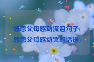 感恩父母感动流泪句子(感恩父母感动哭的话语)