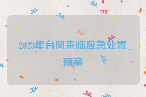 2023年台风来临应急处置预案