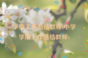 学期工作总结教师(小学学期工作总结教师)